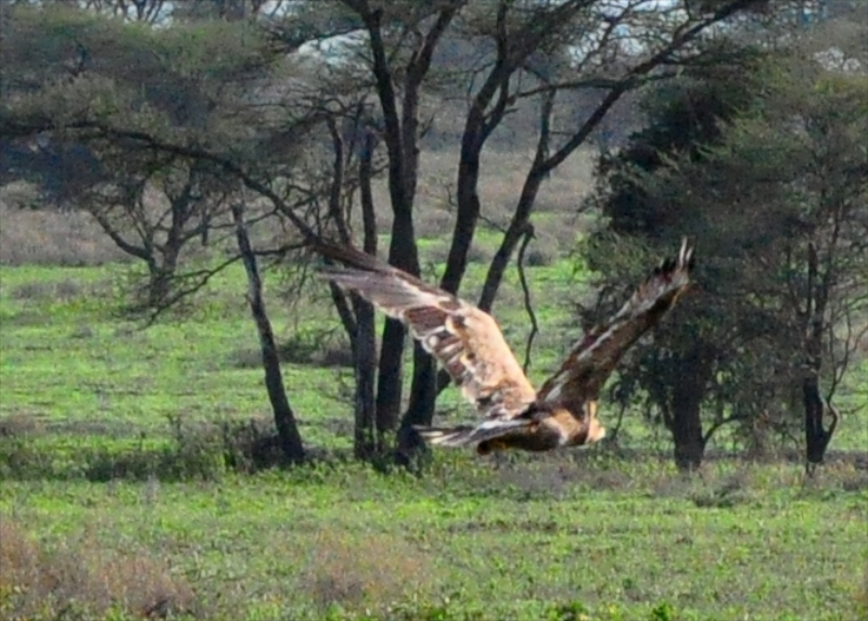 Melanie Heinrich Travel Images Africa